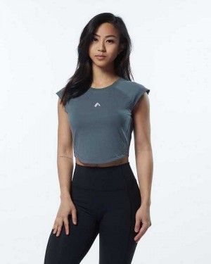 Beige Grey Women's Alphalete Velocity Crop Short Sleeve Shirts | UAE-765289