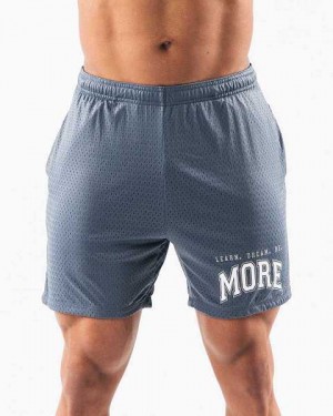 Blue Men's Alphalete LDB More Mesh 6” Shorts | UAE-081379