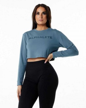 Blue Women's Alphalete Core LS Crop Long Sleeve Shirts | UAE-796138