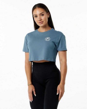 Blue Women's Alphalete Dynasty Crop Short Sleeve Shirts | UAE-843672