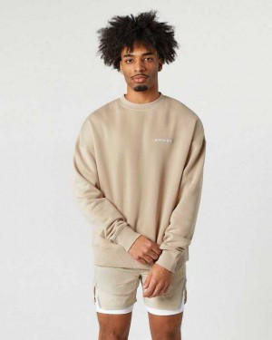 Brown Men's Alphalete Classic Crew Sweater | UAE-856327