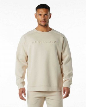 Brown Men's Alphalete ELMTS Crewneck Sweater | UAE-197520