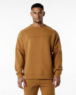 Brown Men's Alphalete ELMTS Crewneck Sweater | UAE-617425