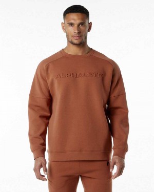 Brown Men's Alphalete ELMTS Crewneck Sweater | UAE-624758