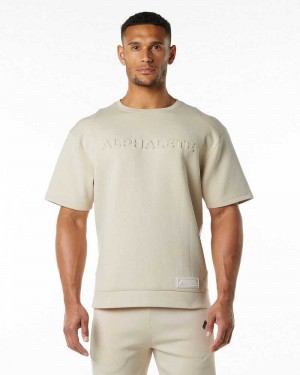 Brown Men's Alphalete ELMTS Half Sleeve Pullover | UAE-578931