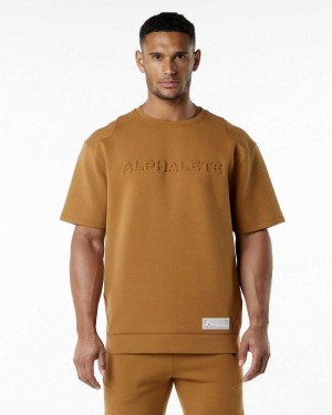 Brown Men's Alphalete ELMTS Half Sleeve Pullover | UAE-513478