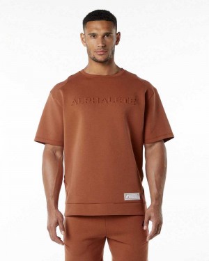 Brown Men's Alphalete ELMTS Half Sleeve Pullover | UAE-604872