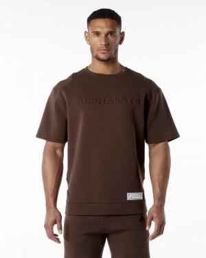 Brown Men's Alphalete ELMTS Half Sleeve Pullover | UAE-618294