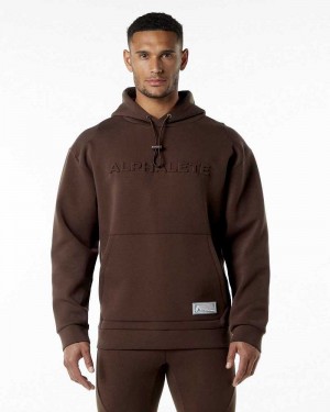 Brown Men's Alphalete ELMTS Hoodie | UAE-784039