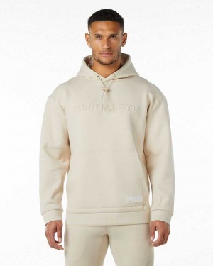 Brown Men's Alphalete ELMTS Hoodie | UAE-924810