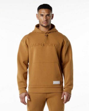 Brown Men's Alphalete ELMTS Hoodie | UAE-984165