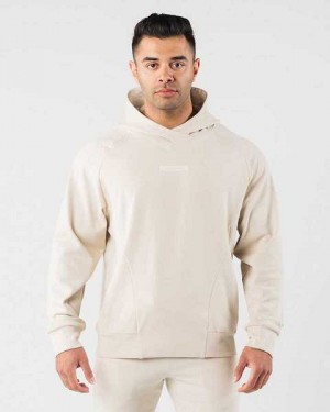 Brown Men's Alphalete Identity Pro Hoodie | UAE-803976