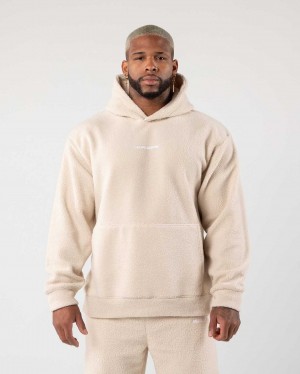 Brown Men's Alphalete King Hoodie | UAE-142635