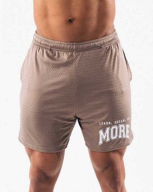 Brown Men's Alphalete LDB More Mesh 6” Shorts | UAE-309658