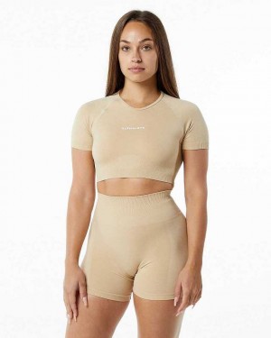 Brown Women's Alphalete Amplify V-Neck Crop Short Sleeve Shirts | UAE-578629