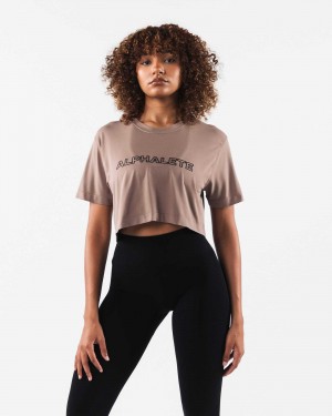 Brown Women's Alphalete Core Airtech SS Crop Short Sleeve Shirts | UAE-139570