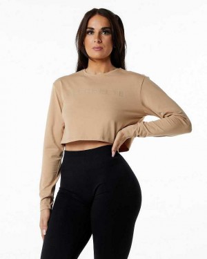 Brown Women's Alphalete Core LS Crop Long Sleeve Shirts | UAE-421739