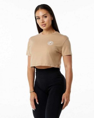 Brown Women's Alphalete Dynasty Crop Short Sleeve Shirts | UAE-301589