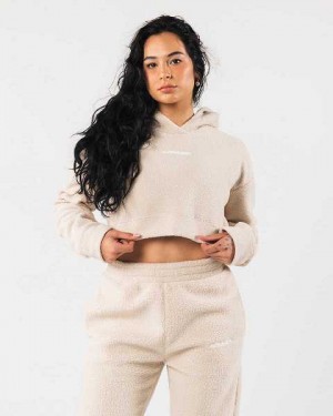 Brown Women's Alphalete King Crop Hoodie | UAE-132407