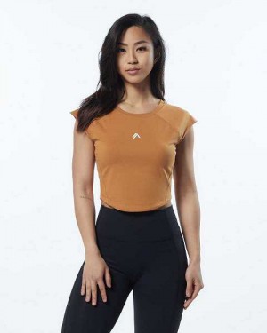 Brown Women's Alphalete Velocity Crop Short Sleeve Shirts | UAE-456392