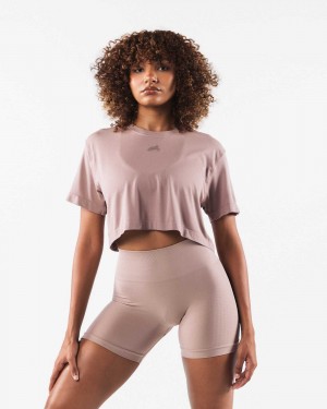 Brown Women's Alphalete Wolf Head Airtech SS Crop Short Sleeve Shirts | UAE-581397