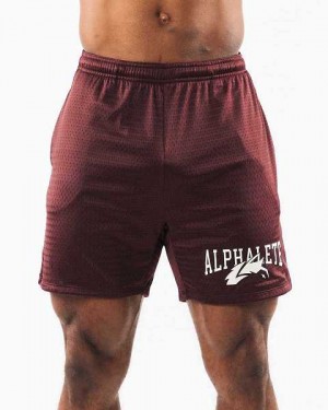 Burgundy Men's Alphalete Wolf Head Mesh 6" Shorts | UAE-540631