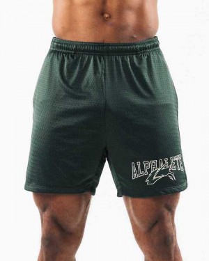 Dark Green Men's Alphalete Wolf Head Mesh 6" Shorts | UAE-287340