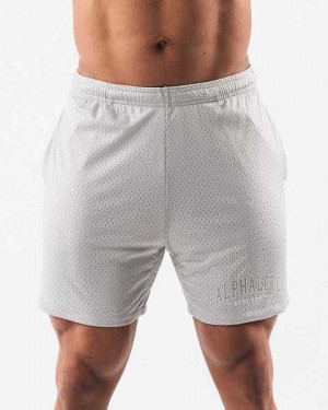 Grey Men's Alphalete AA Mesh 6” Shorts | UAE-072345