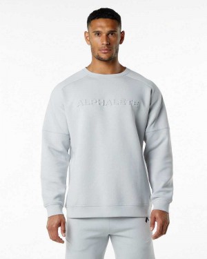 Grey Men's Alphalete ELMTS Crewneck Sweater | UAE-721354