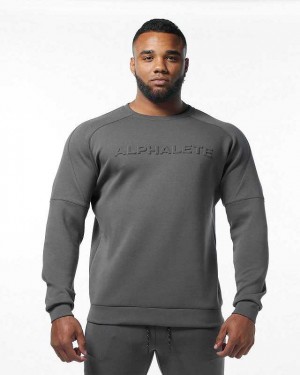 Grey Men's Alphalete ELMTS Crewneck Sweater | UAE-843192