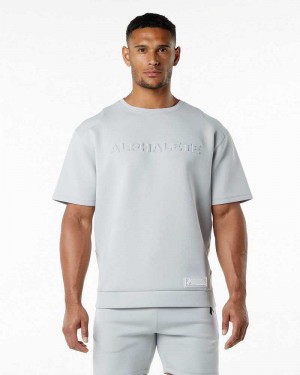 Grey Men's Alphalete ELMTS Half Sleeve Pullover | UAE-129043