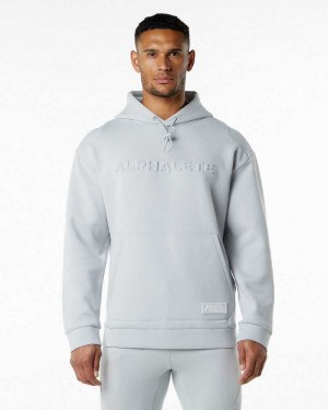 Grey Men's Alphalete ELMTS Hoodie | UAE-286039