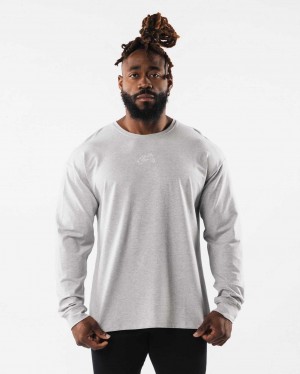 Grey Men's Alphalete Wolf Head LS Long Sleeve Shirts | UAE-861592