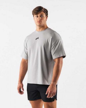 Grey Men's Alphalete Wolf Head Paisley Print Short Sleeve Shirts | UAE-653849