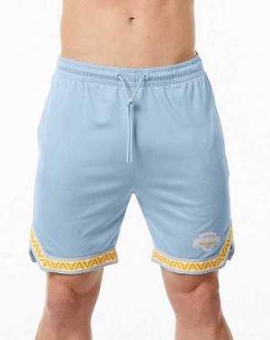 Light Blue Men's Alphalete Varsity Basketball 9" Shorts | UAE-127950