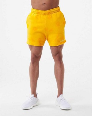 Orange Men's Alphalete HCTS 5" Shorts | UAE-890235