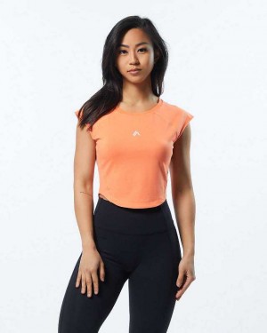 Orange Women's Alphalete Velocity Crop Short Sleeve Shirts | UAE-081234