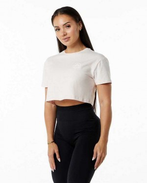 Pink Women's Alphalete Dynasty Crop Short Sleeve Shirts | UAE-760523