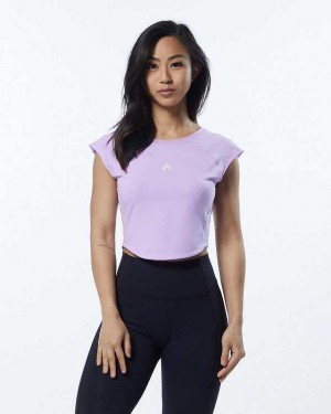 Purple Women's Alphalete Velocity Crop Short Sleeve Shirts | UAE-382796