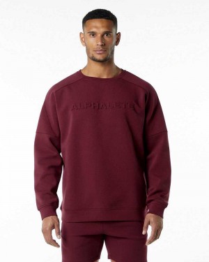 Red Men's Alphalete ELMTS Crewneck Sweater | UAE-736105