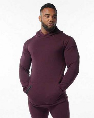 Red Men's Alphalete ELMTS Fitted Hoodie | UAE-675329