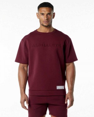 Red Men's Alphalete ELMTS Half Sleeve Pullover | UAE-106428