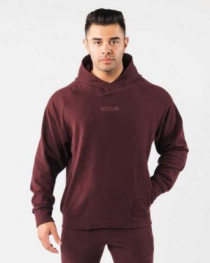 Red Men's Alphalete Identity Pro Hoodie | UAE-695148