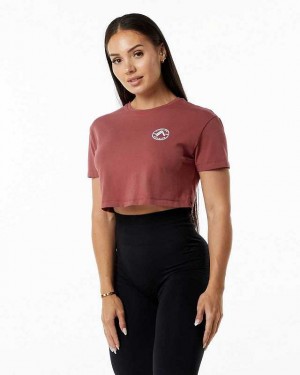 Red Women's Alphalete Dynasty Crop Short Sleeve Shirts | UAE-145286