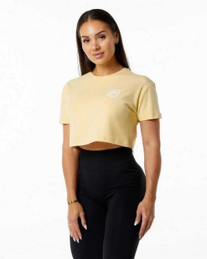 Yellow Women's Alphalete Dynasty Crop Short Sleeve Shirts | UAE-608953