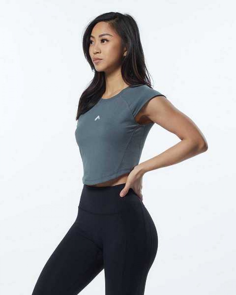 Beige Grey Women's Alphalete Velocity Crop Short Sleeve Shirts | UAE-765289