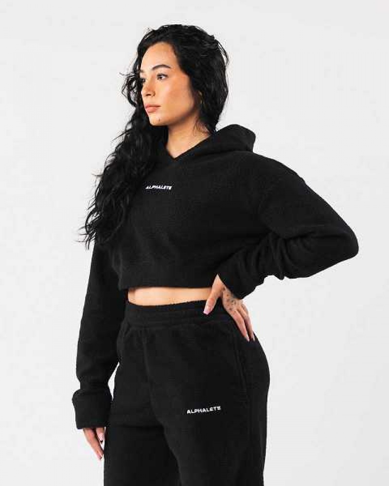 Black Women's Alphalete King Crop Hoodie | UAE-490781