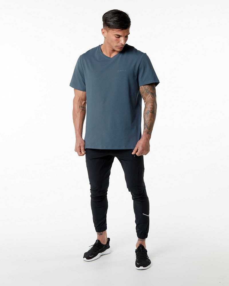 Blue Men's Alphalete Classic Short Sleeve Shirts | UAE-326715