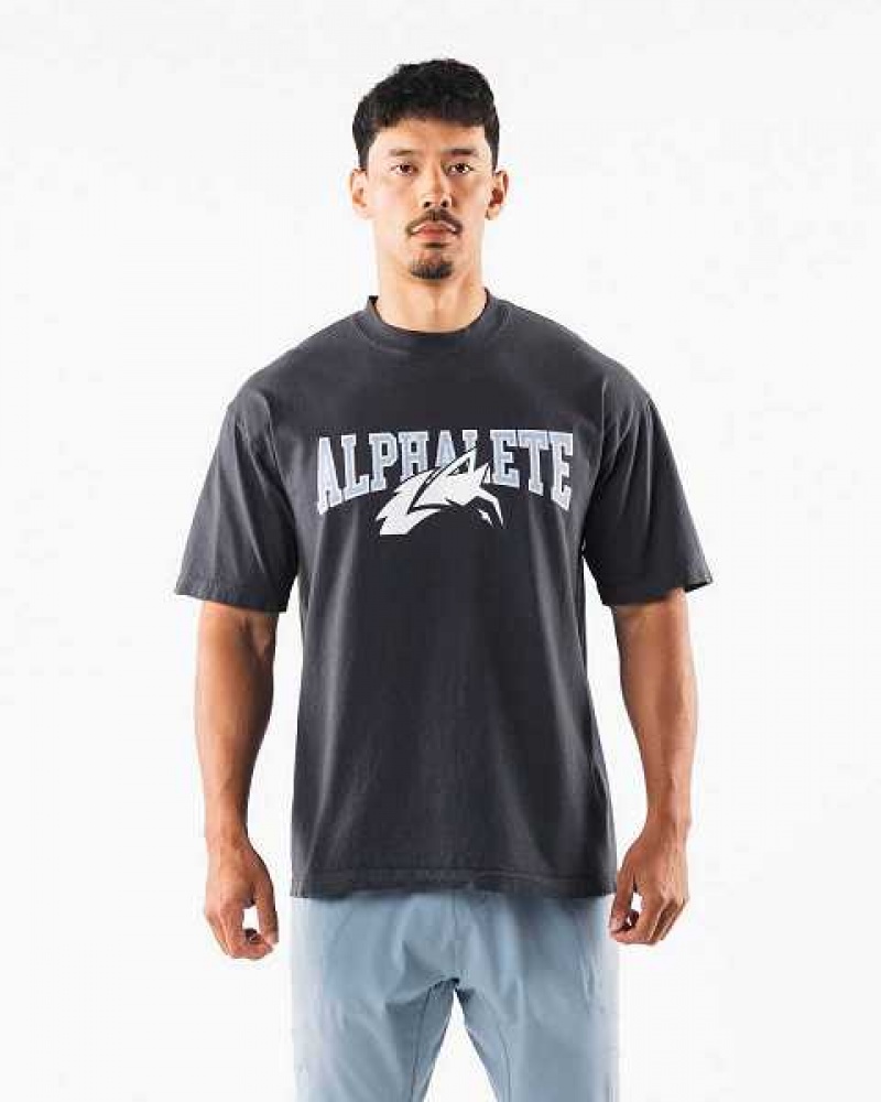 Blue Men's Alphalete Wolf Head Short Sleeve Shirts | UAE-638507