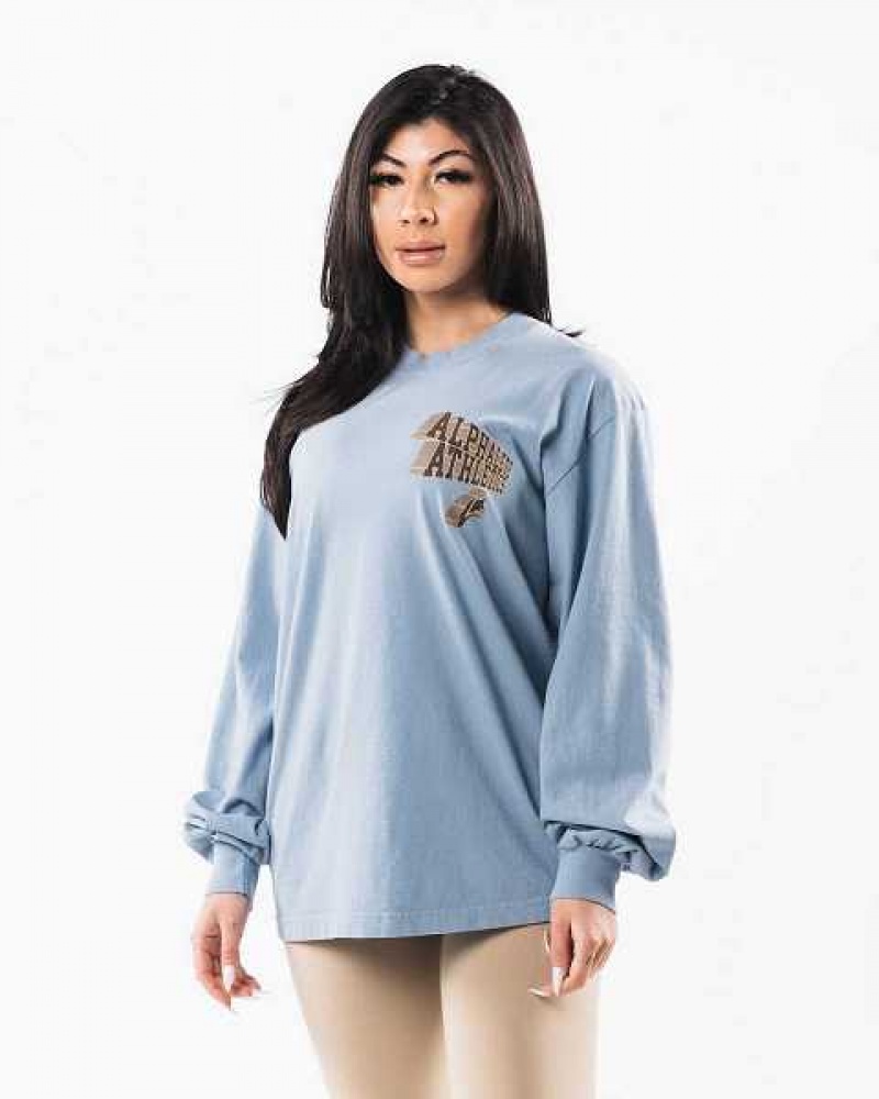 Blue Unisex Alphalete Dimensional Long Sleeve Shirts | UAE-128746